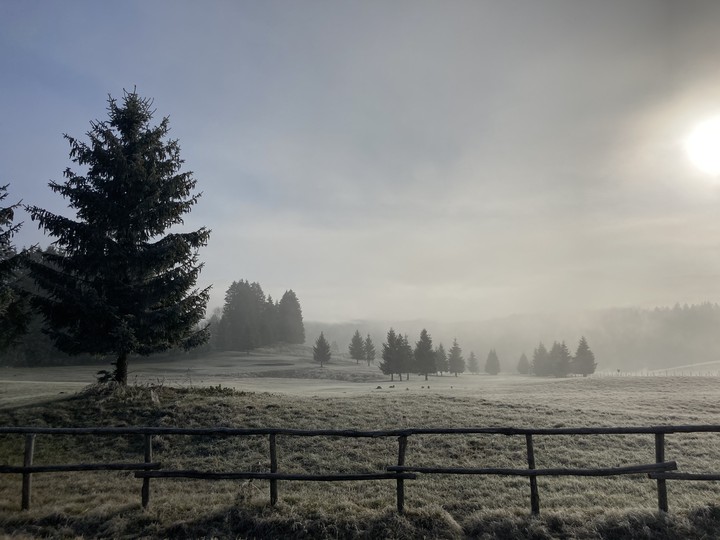 nebbia