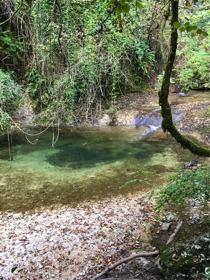 green wather