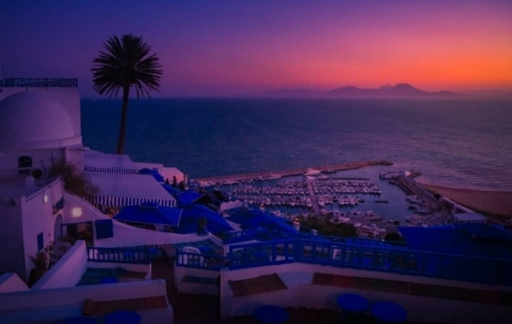 sidi bou said