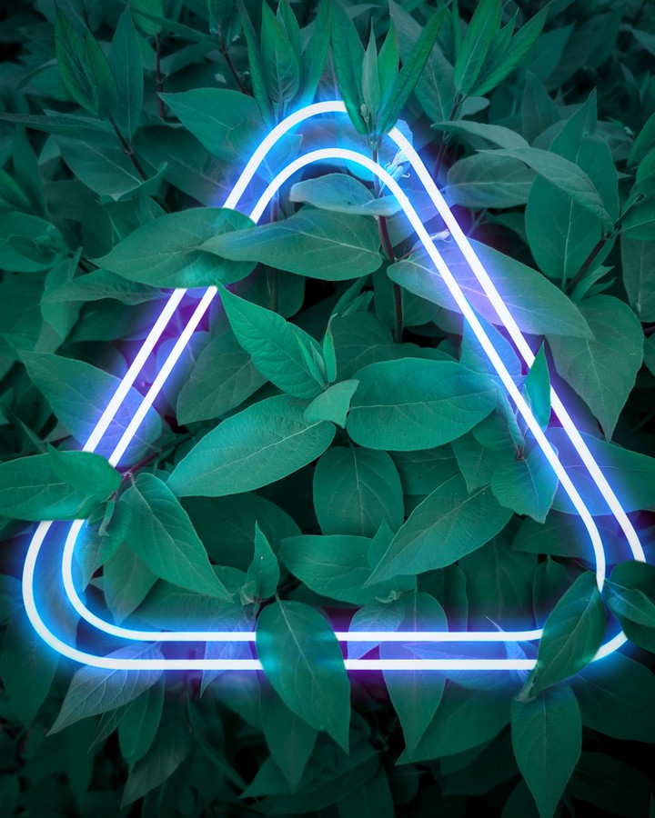 Neon nature