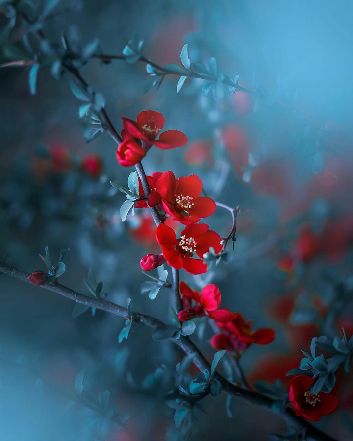 Wallpaper Of The Day ❤️