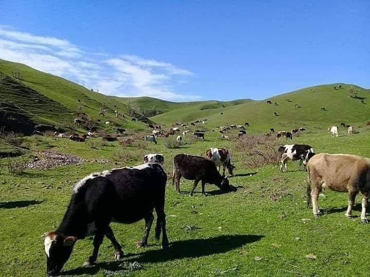 Logar province, Afghanistan