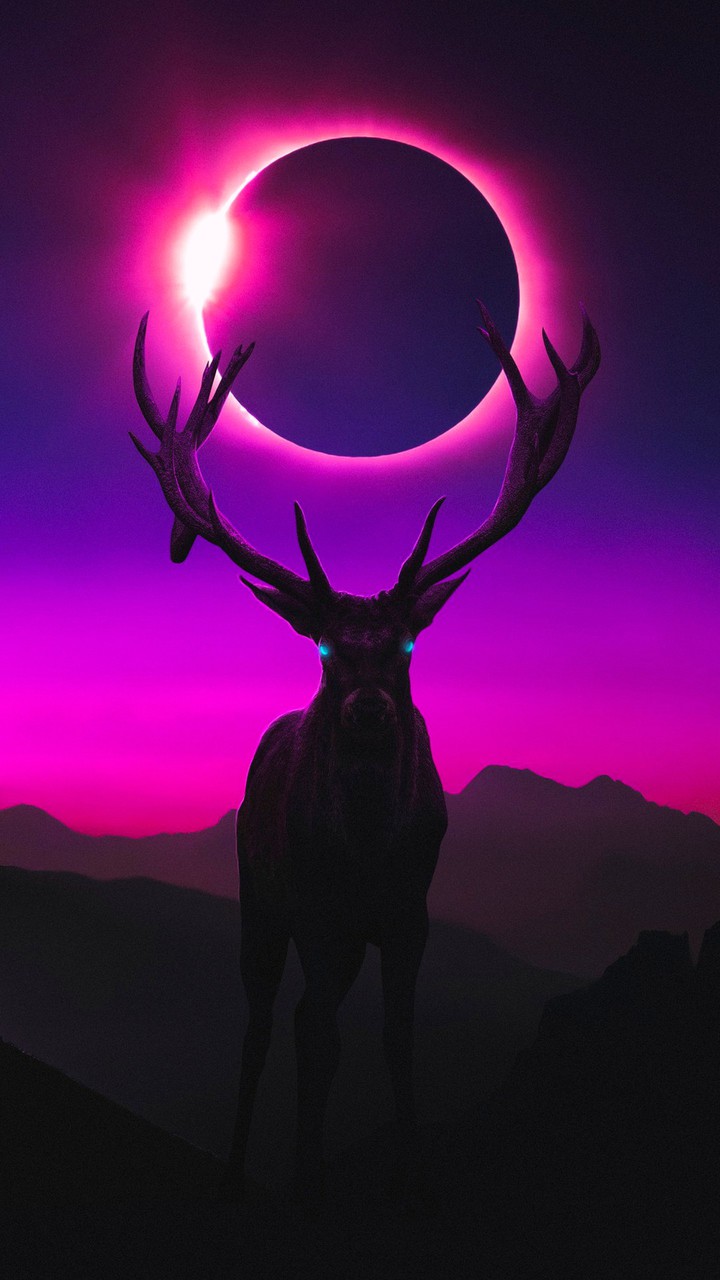 Nightmare ?