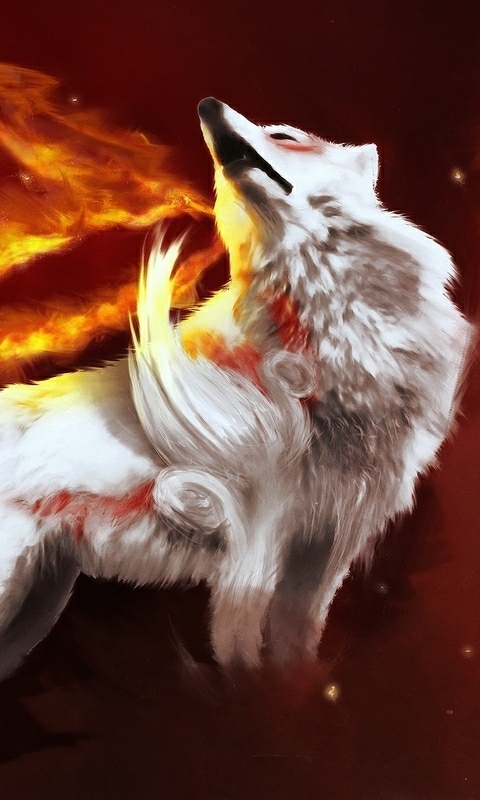 Wolf