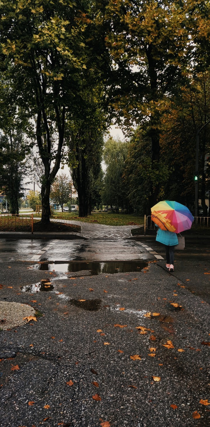Rainbow of life
