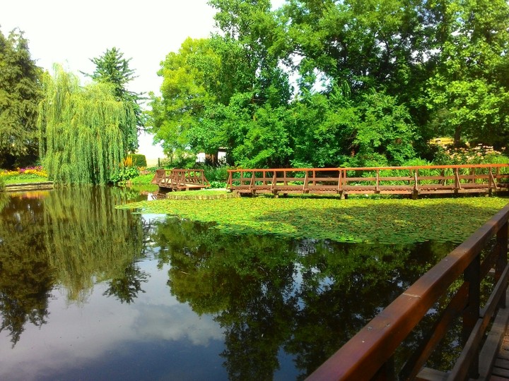 Nature