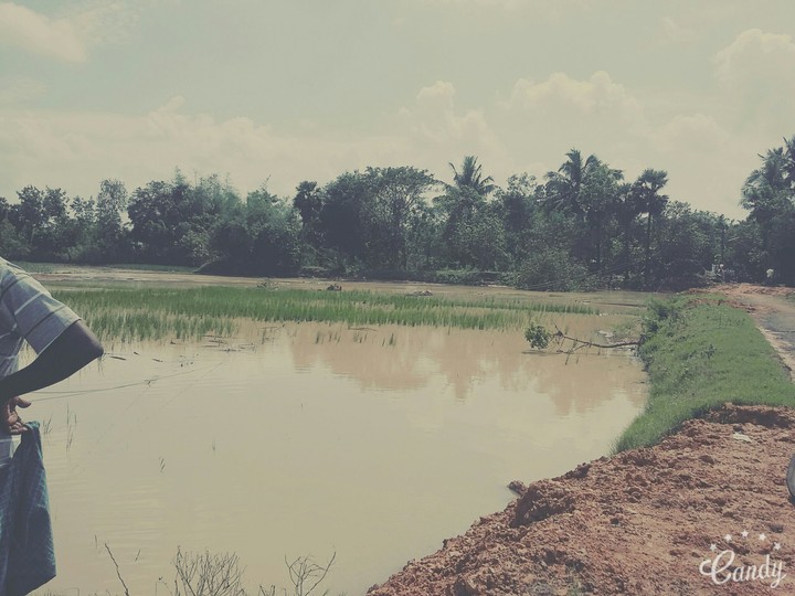 scenery