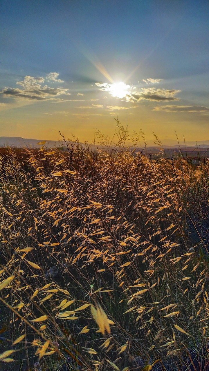 Sun