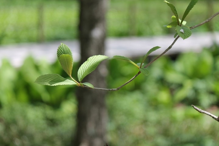photo5
