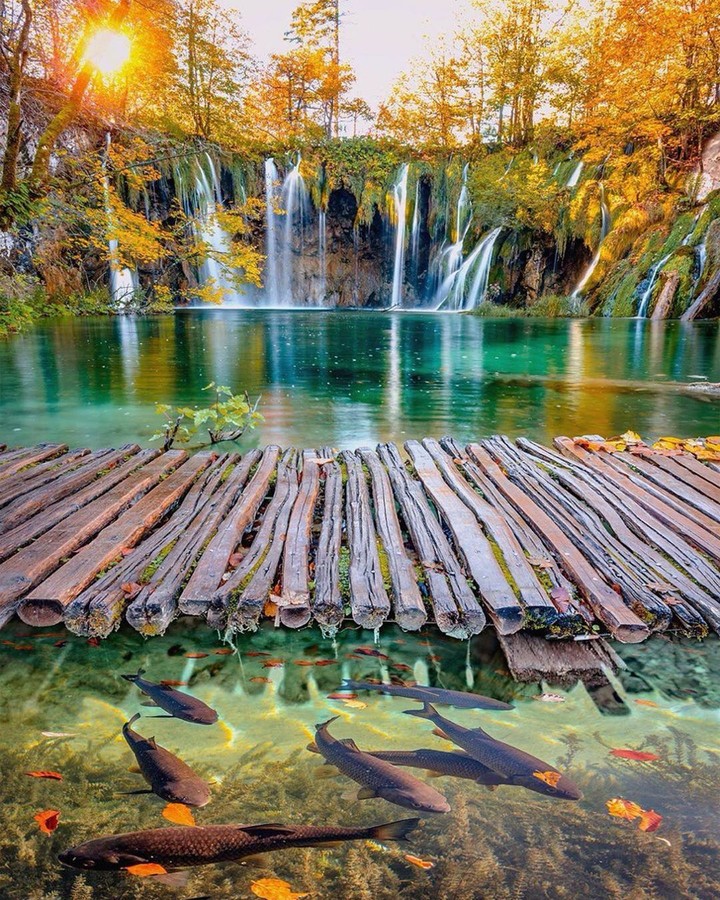 beautifull watterfall
