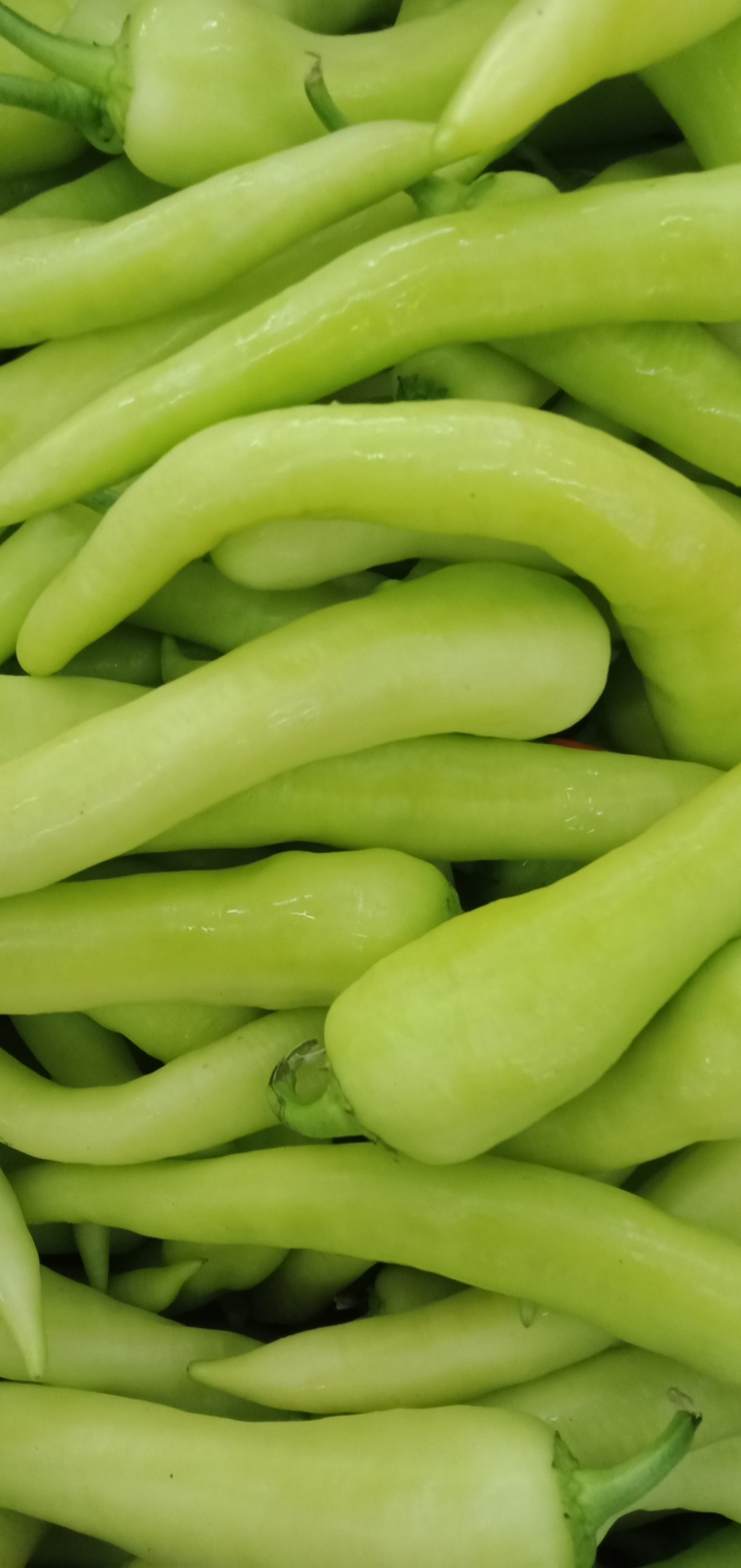 Chili solok