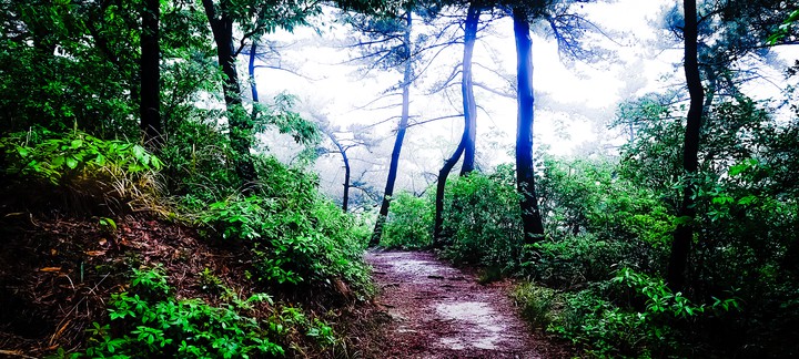 산길