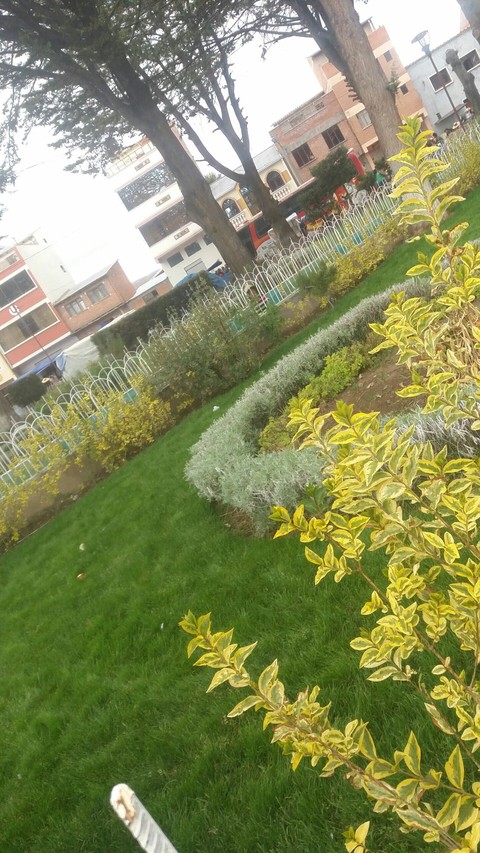 sfondi garden, walkway
