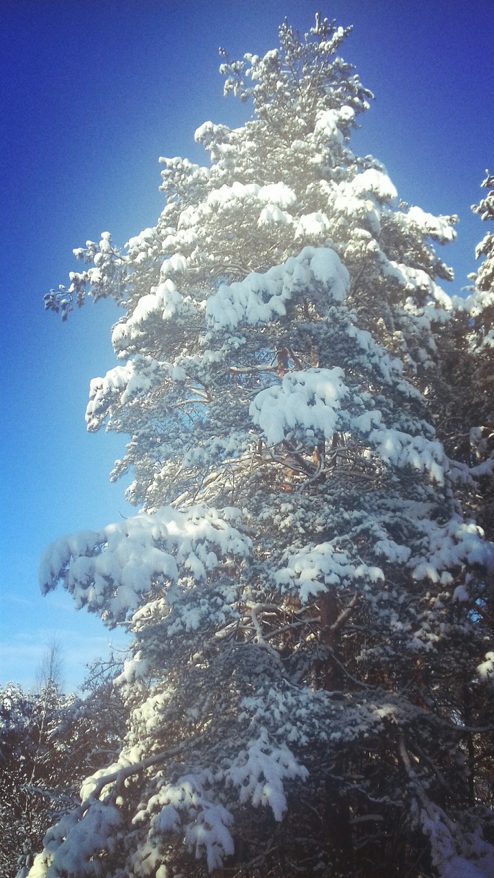 winter