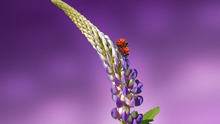 beautiful picture...
