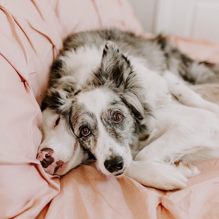 ❤