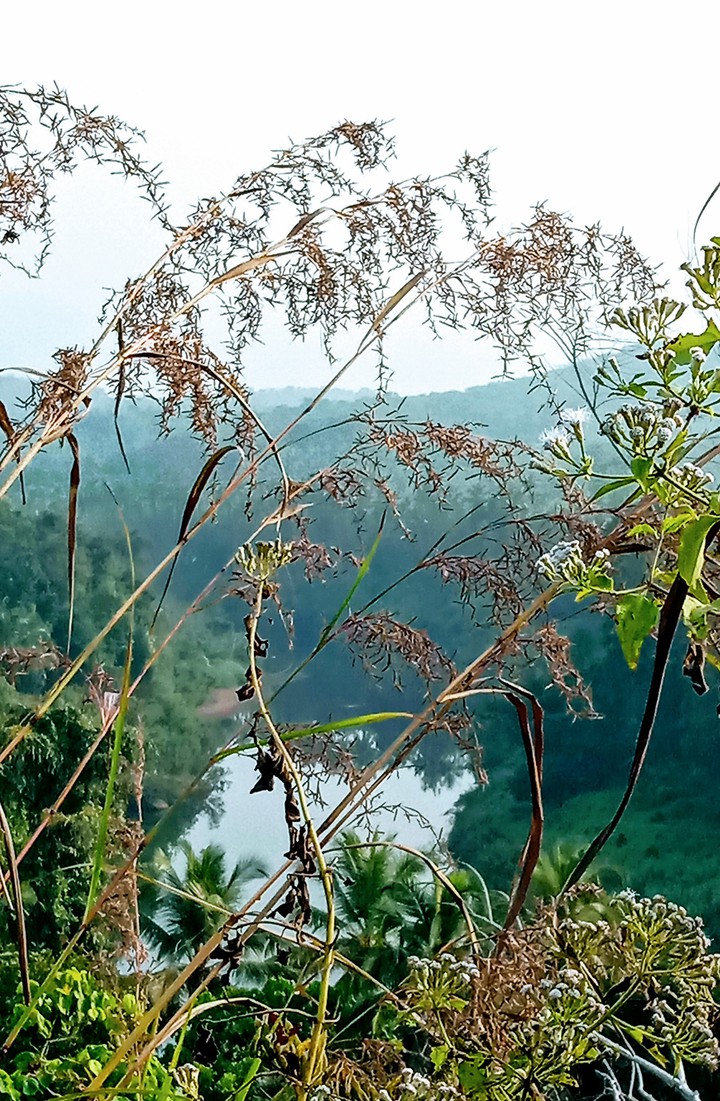 early morning