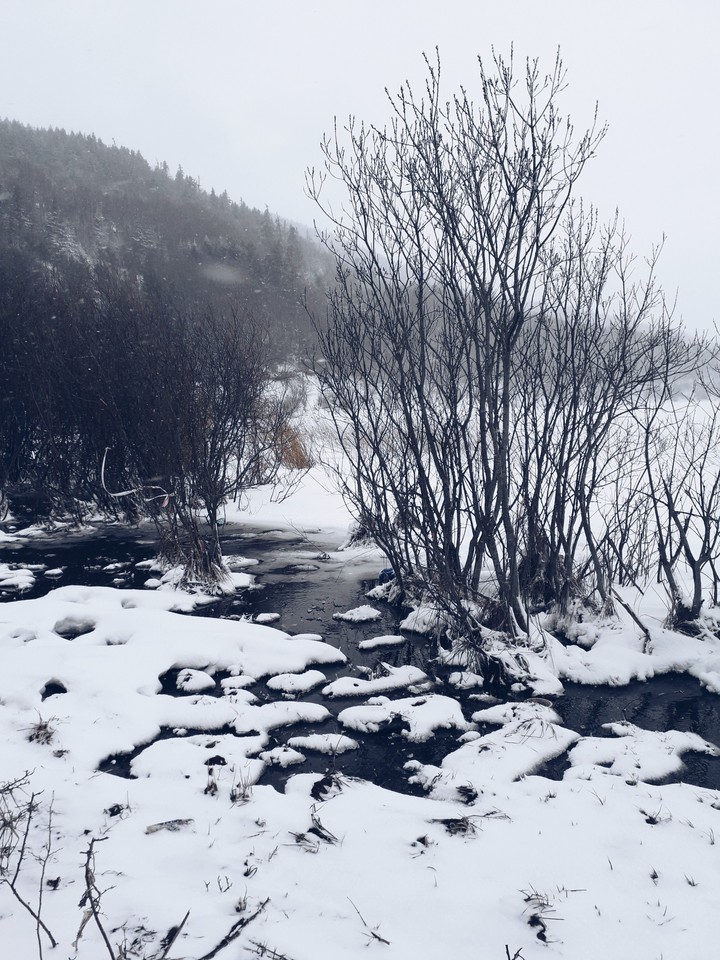 Winter