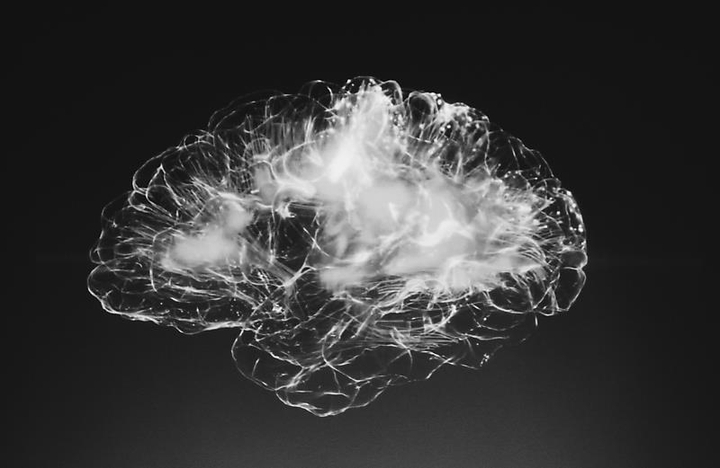 brain