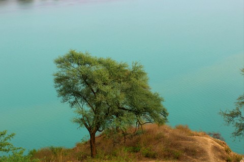 INDIA beauty