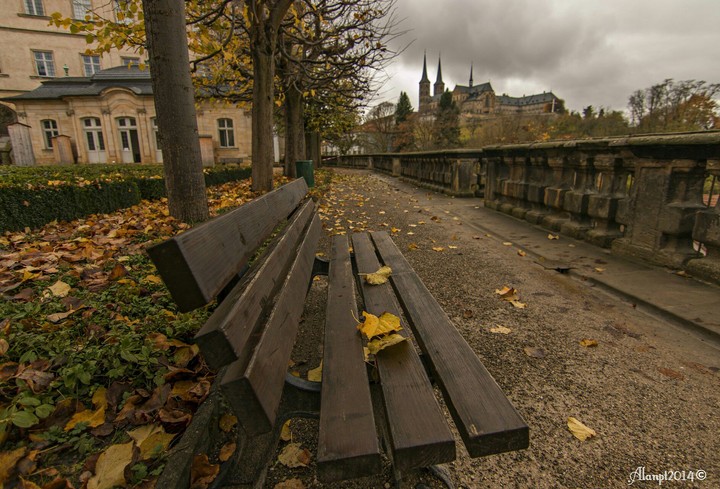 leaves on the bench