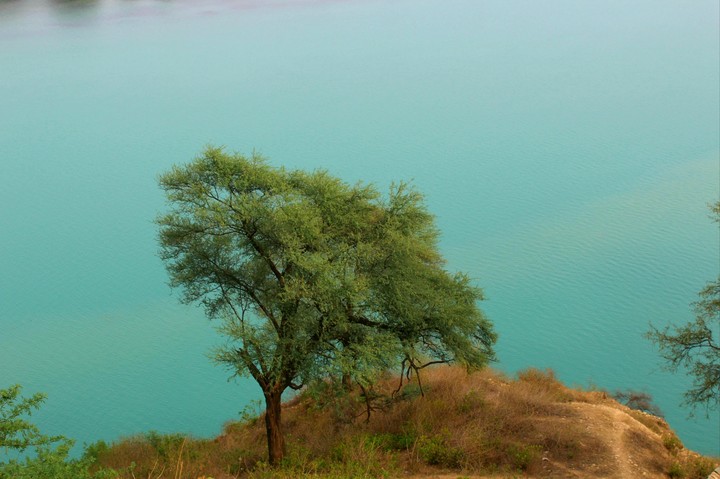 INDIA beauty