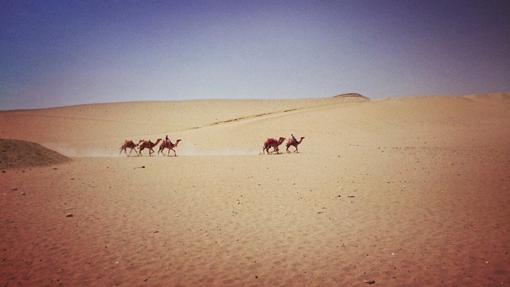 Desert ride.