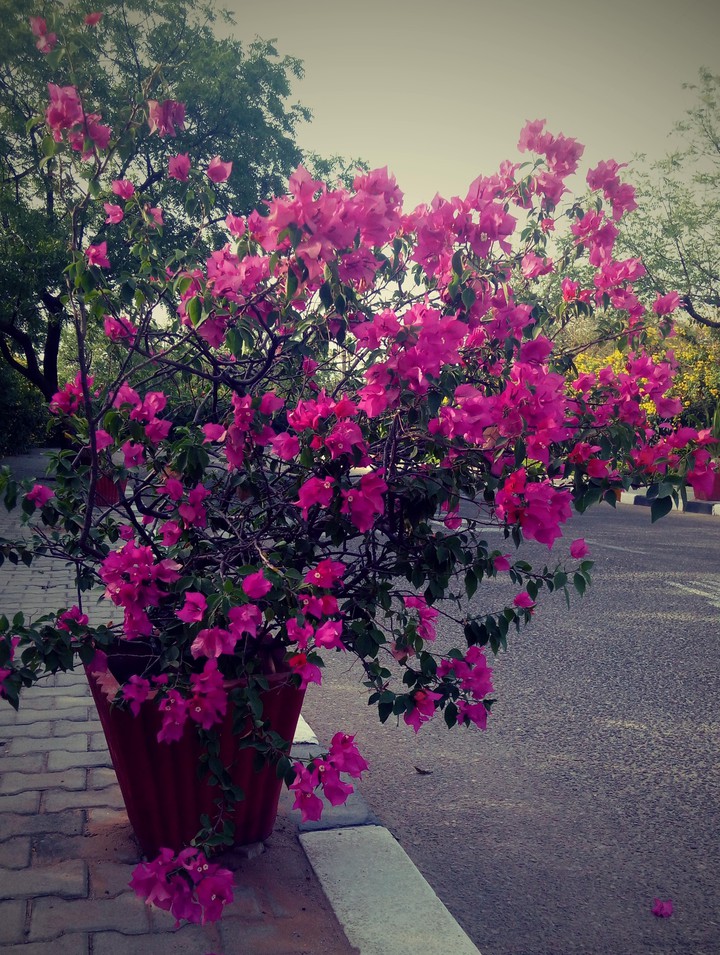 The beauty of Nature....£ove