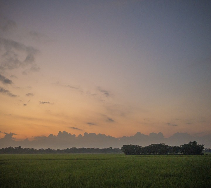 sunset