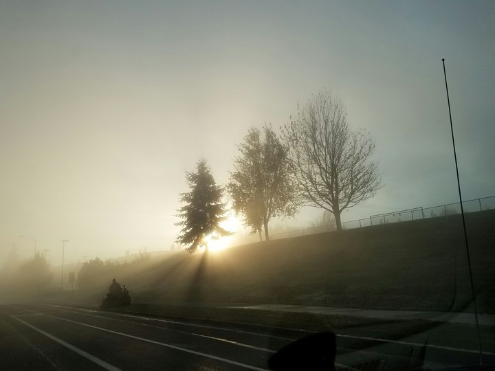 morning fog