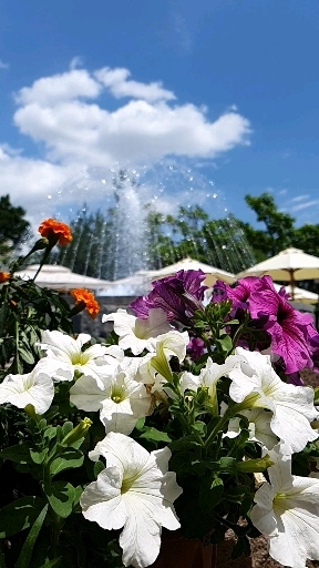 Summer