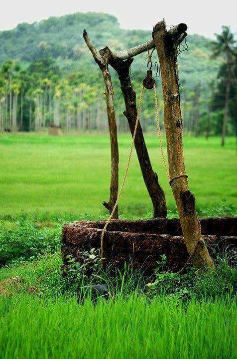Scenery