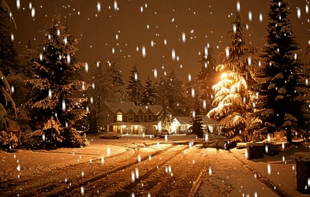 Winter
