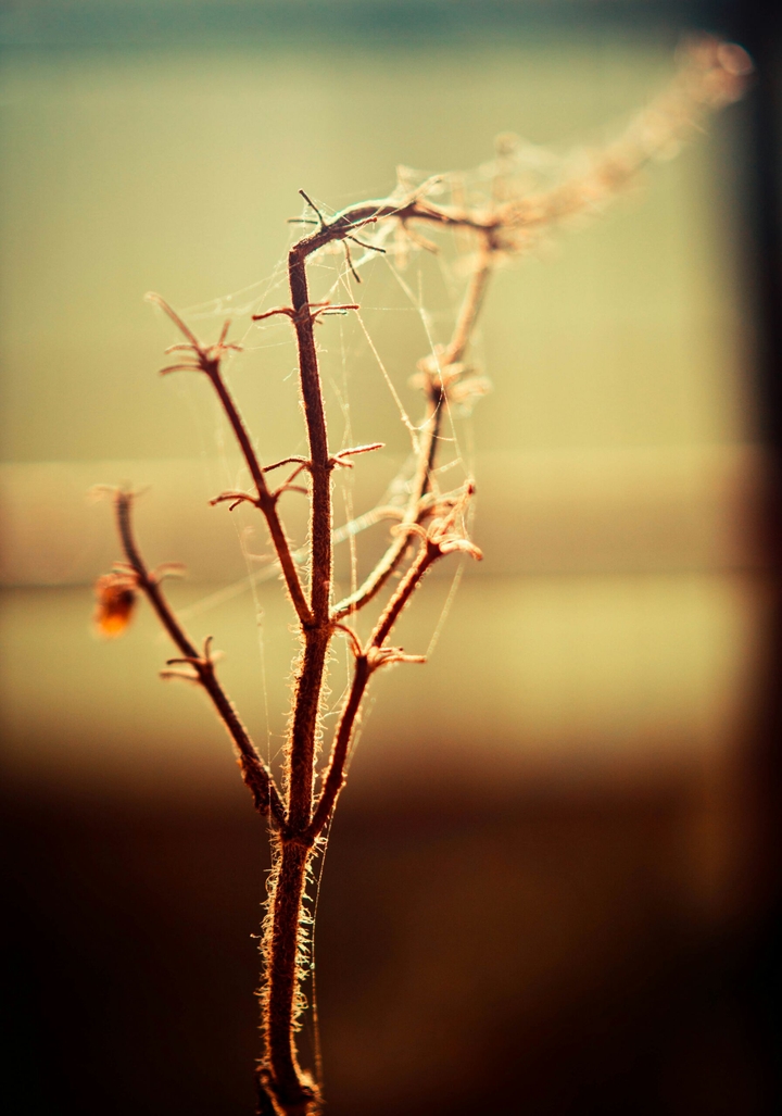Beauty of Nature 