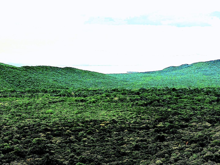 nature