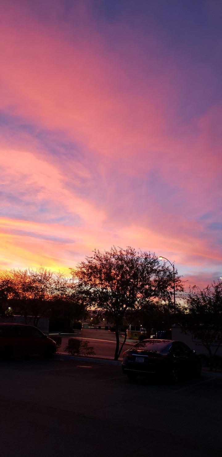 Desert Sky