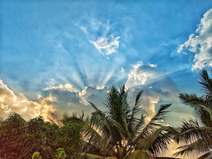 Nature