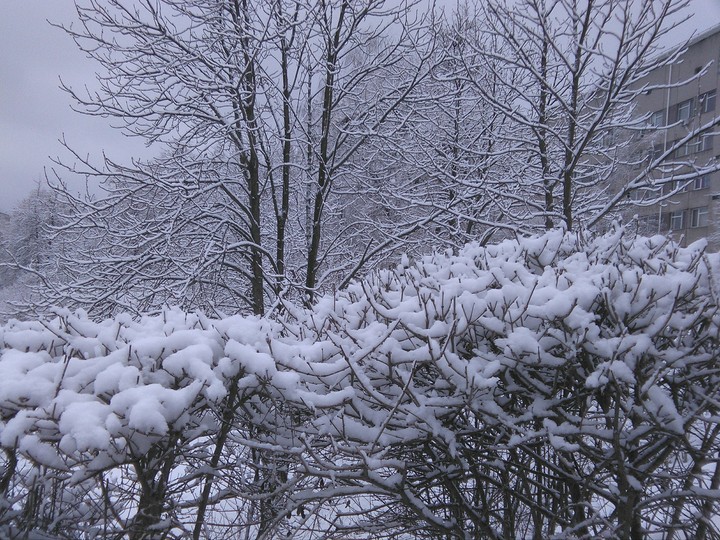 Magic winter