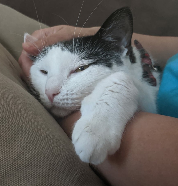 Resting in the arm of love