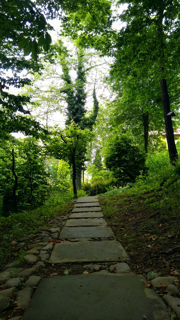 Green path