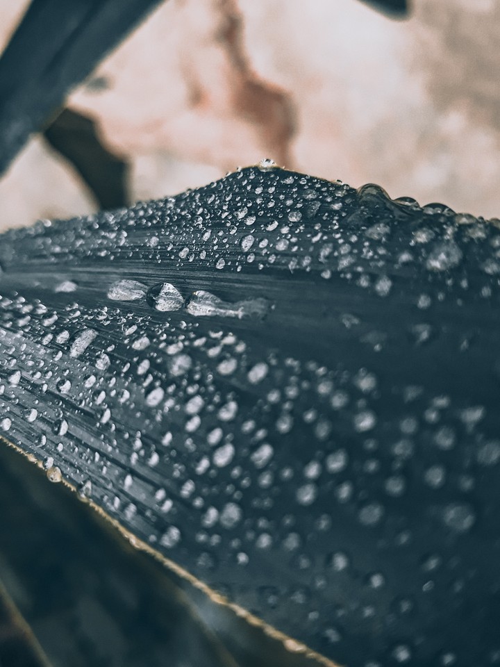 drops...