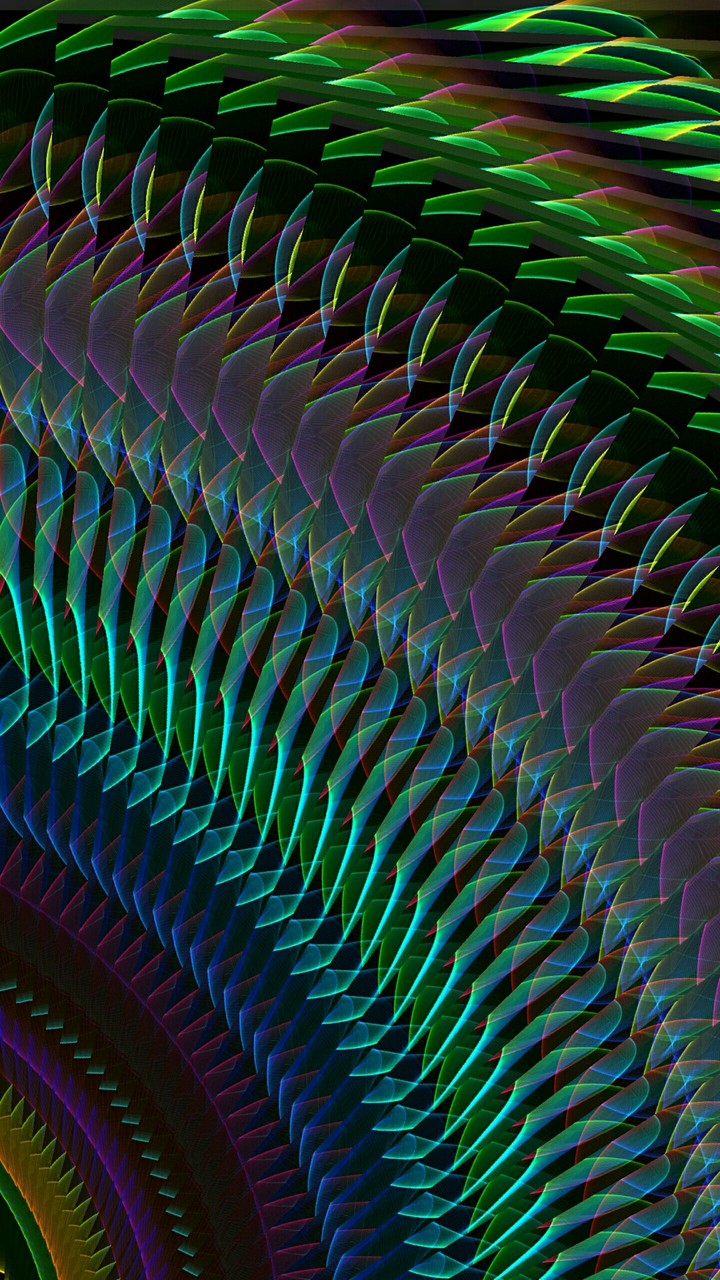 Mechanism 02