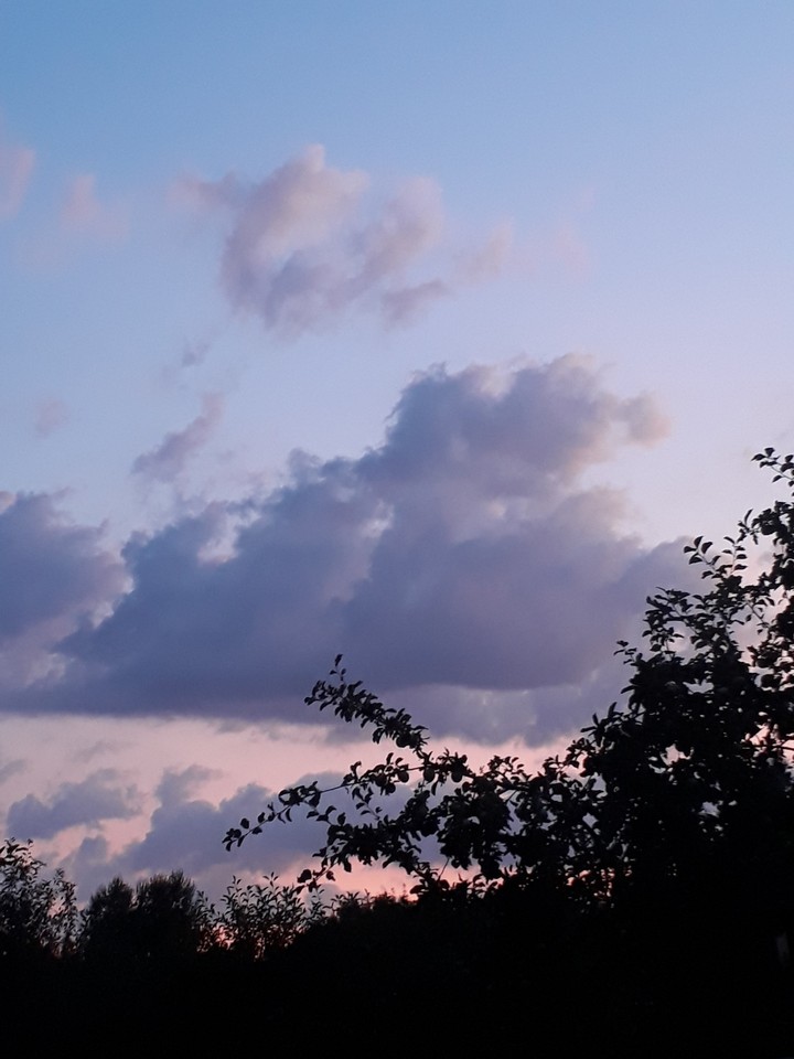 Sky