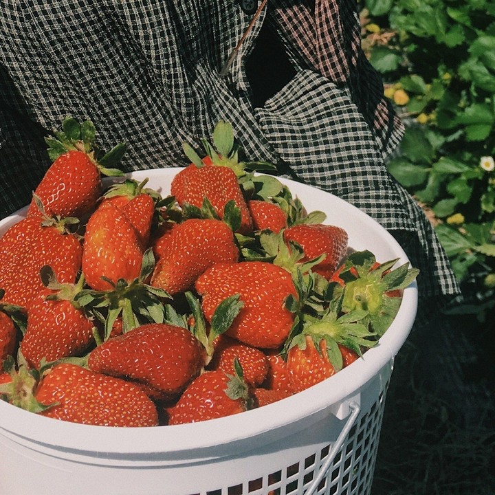 strawberry