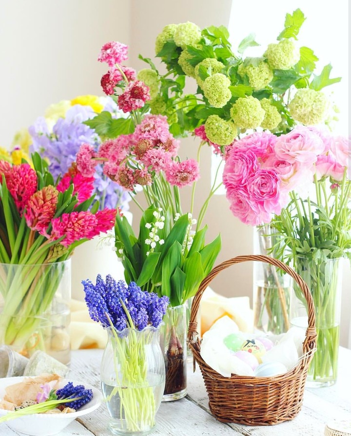 spring
