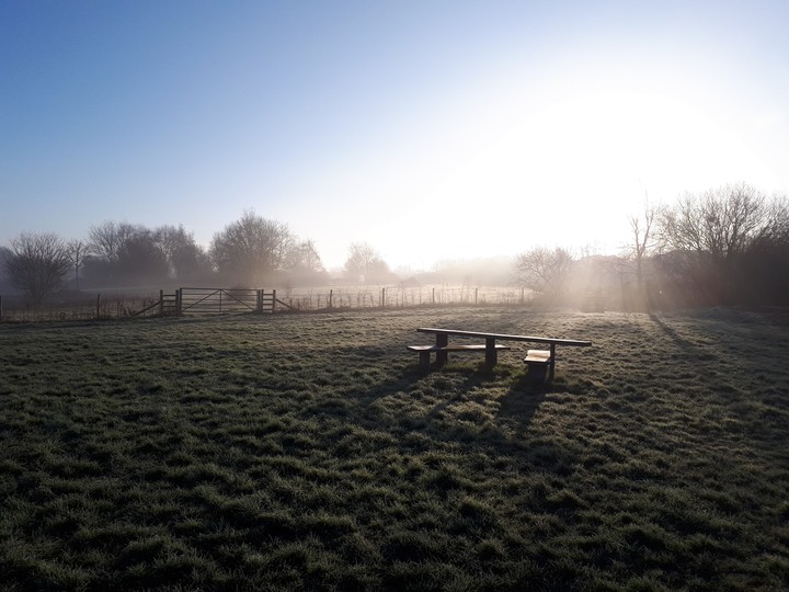 Morning dew