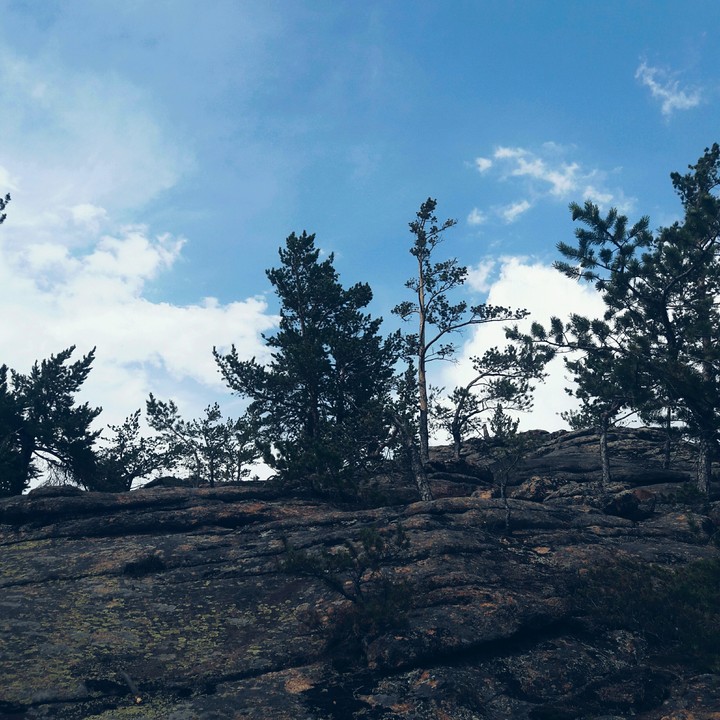 nature