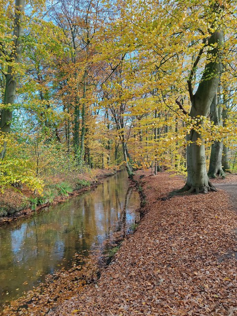 River Luter