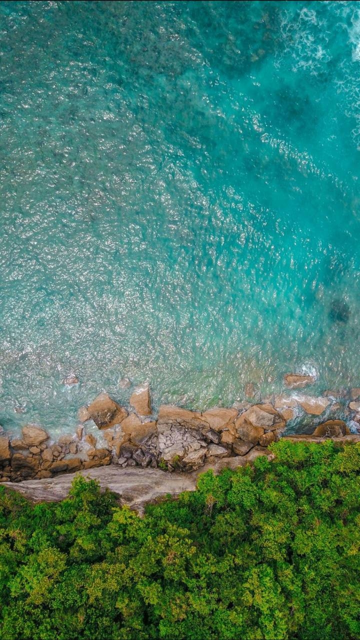 nature