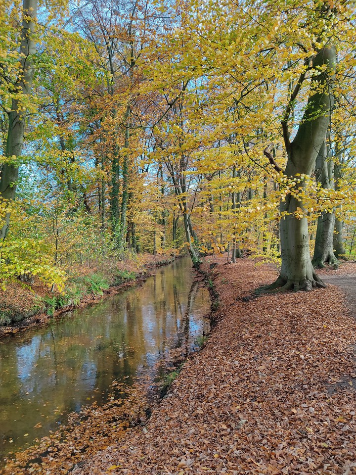 River Luter
